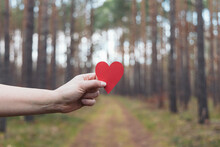 Woman Holding A Red Heart In The Middle Of The Forest Trees
