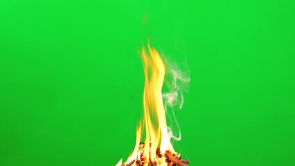 Wall Mural - Fire camping and flame burn glowing on green screen background 