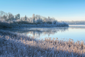 Wall Mural - Drochower See im Lausitzer Seenland im Winter, Deutschland - Drochow Lake in Lusatian Lake District in winter