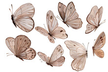 Collection Beige Butterflies Illustration Set On Isolated White Background, Acrylic Painting, Decorative Elements 