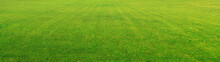 Wide Format Background Image Of Green Carpet Of Neatly Trimmed Grass. Beautiful Grass Texture On Bright Green Mowed Lawn, Field, Grassplot In Nature.