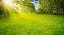 Beautiful Warm Summer Widescreen Natural Landscape Of Park With A Glade Of Fresh Grass Lit By  Sun.