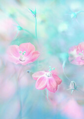 Aufkleber - Blurred exquisite spring natural floral background in blue and pink pastel colors. Delicate pink spring flowers.
