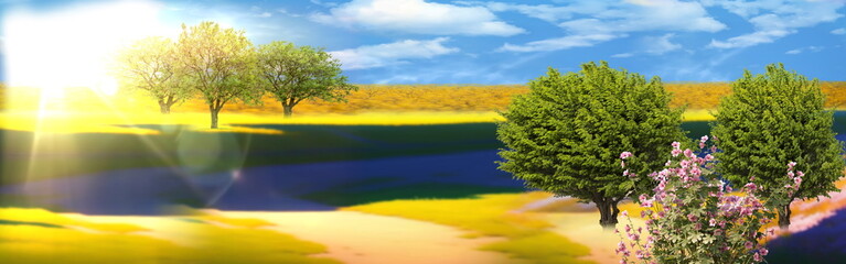 nature landscape meadow of wheat trees and wild lavender flowers on field sunslight blue sky with wh