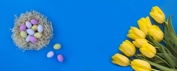 Wall Mural - Holiday background. Colored easter eggs in a nest of straw and yellow tulips on the blue background. Copy space.