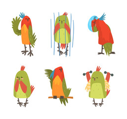 Sticker - Set of parrot birds. Bright parrot pet character in everyday activities cartoon vector illustration