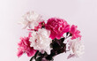 Beautiful bouquet of pink and white Peonies. Floral spring seasonal wallpaper. Close up photography softfocused peony.