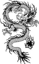 Vector Illustration Of An Awesome Black Chinese Dragon On White Background