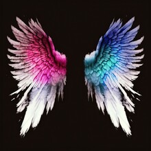  A Pair Of Colorful Wings With White And Pink Feathers On A Black Background With A Black Background Behind It And A Black Background With A White Border With A Pink And Blue Border At The.