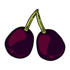 Sticker - two grapes fresh fruits