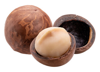 Wall Mural - Macadamia nut  on white background, Roasted Macadamia nut on White Background PNG file.