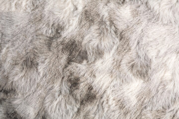 Wall Mural - Gray fur background