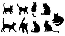 Vector Set Of Cat Silhouettes In Walking, Sleeping And Sitting Positions
