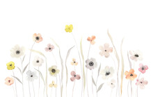Abstract Wildflowers, Horizontal Floral Border Of Delicate Flowers And Grasses, Isolated Watercolor Illustration For Invitation, Greeting Cards, Cute Wallpapers Or Tender Background For Text.