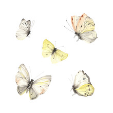 Set Of Cute Abstract Butterflies, Watercolor Isolated Illustration For Your Design.