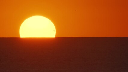 Wall Mural - beautiful evening sunset with big sun on atlantic ocean. beautiful screensaver for any of your proje