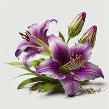 Purple Lily Flowers. Generative AI.
