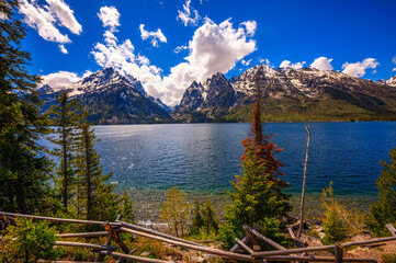 Wall Mural - Jenny Lake and Grand Teton Mountains in Wyoming, USA