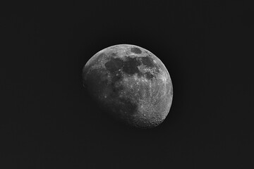 Wall Mural - The waning moon in the early morning in spring