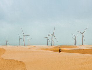 silhouette of a person in the desert