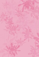 Soft Pink Background And Flowers