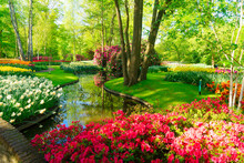 Fresh Spring Lawn With Blooming With White Daffodil Flowers, Various Tulips Under Green Tree In Formal Garden, Water Spring In Background, Retro Toned