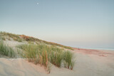 Fototapeta Las - Wydma nad brzegiem Morza Bałtyckiego, pas nadbrzeżny, Słowiński Park Narodowy, Piaskownica zwyczajna