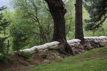 Sticker - Empty trench in the forest