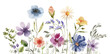 © Lana - Border of delicate multicolored  flowers, watercolor illustration for design.