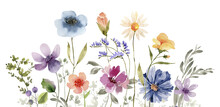 Border Of Delicate Multicolored  Flowers, Watercolor Illustration For Design.	