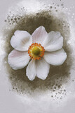 Fototapeta Kwiaty - Watercolor painting of a Anemone hupehensis flower, known as the Chinese anemone or Japanese anemone, thimble flower, or the wind. close up