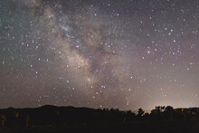 Wyoming Wildlife Nature Park Milky Way