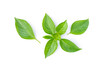 © NIKCOA - Fresh sweet basil leaves isolated on white background, top view, flat lay.