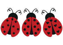 Ladybug Cartoon Set. Insect Cute Illustration Isolated On White Background