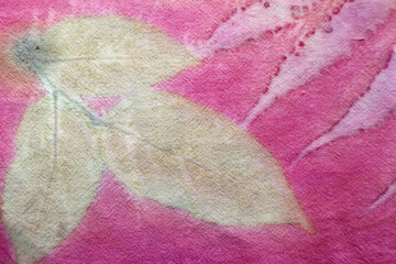 Texture background of natural yellow and white leaf from eco print process. Colorful Eco-printing on pink fabric.