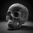 Human skull wireframe