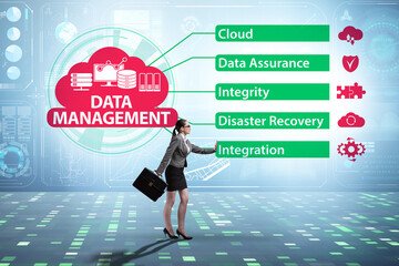 Wall Mural - Data management concept with business people