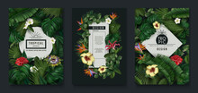 Tropic Leaf Banner, Green Jungle Plants And Exotic Flowers. Nature Frame With Banana And Monstera Foliage, Forest Coconut Palm, Posters With Realistic Elements. Vector Exact Flyer Design