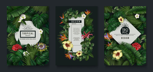 tropic leaf banner, green jungle plants and exotic flowers. nature frame with banana and monstera fo