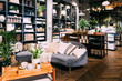 Home accessories and household products in store of shopping centre. View of home accessories for living room in shop fashion retail store. Sofa with pillows, table with cups. Home plant in flower pot