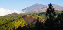 Tenerife, Sentiero Del Chinyero, Parco Del Teide. Vista Sul Vulcano Più Alto Di Spagna