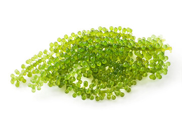 Wall Mural - green sea grapes seaweed isolated on white background.