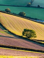 Sticker - Fields and Farms over Devon, England, Europe	