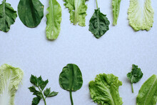 Various Green Leafy Vegetables On Gray Background, Juicy Raw Leaves. Flat Lay, Top View, Copy Space.