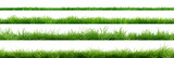 Fototapeta Tulipany - Collection of green grass borders, seamless horizontally, isolated on white background. 3D render. 3D illustration.