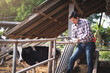 © DJ Creative Studio - Asian man holding digital tablet for working in dairy farm, New generation agricultural farmer using technology for manage in small business smart farm, Livestock and farm industry.