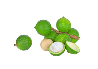 Poster - Macadamia nuts fresh isolated on transparent png