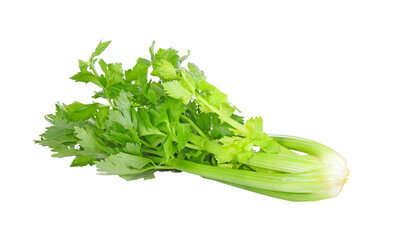 celery isolated on transparent png