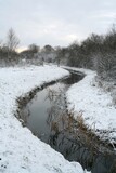 Fototapeta  - Rzeka zimą.