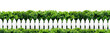 White fence and plant on transparent background. PNG file.